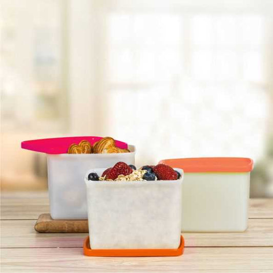 Tupperware Cool N Fresh Container