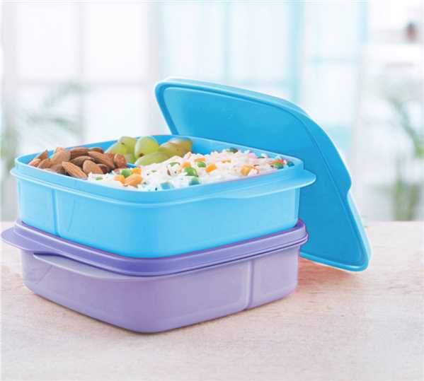 Tupperware With Partition Lunch Set