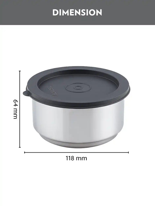 Borosil Carry Fresh Double Wall Stainless Steel Lunch Set WIth Horizontal Bag