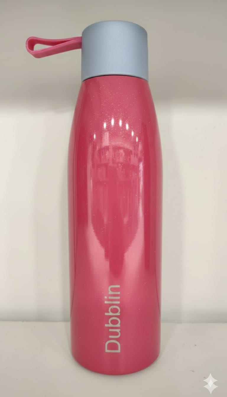 Dubblin Dolphin 550ml Thermal Vacuum Insulated Bottle