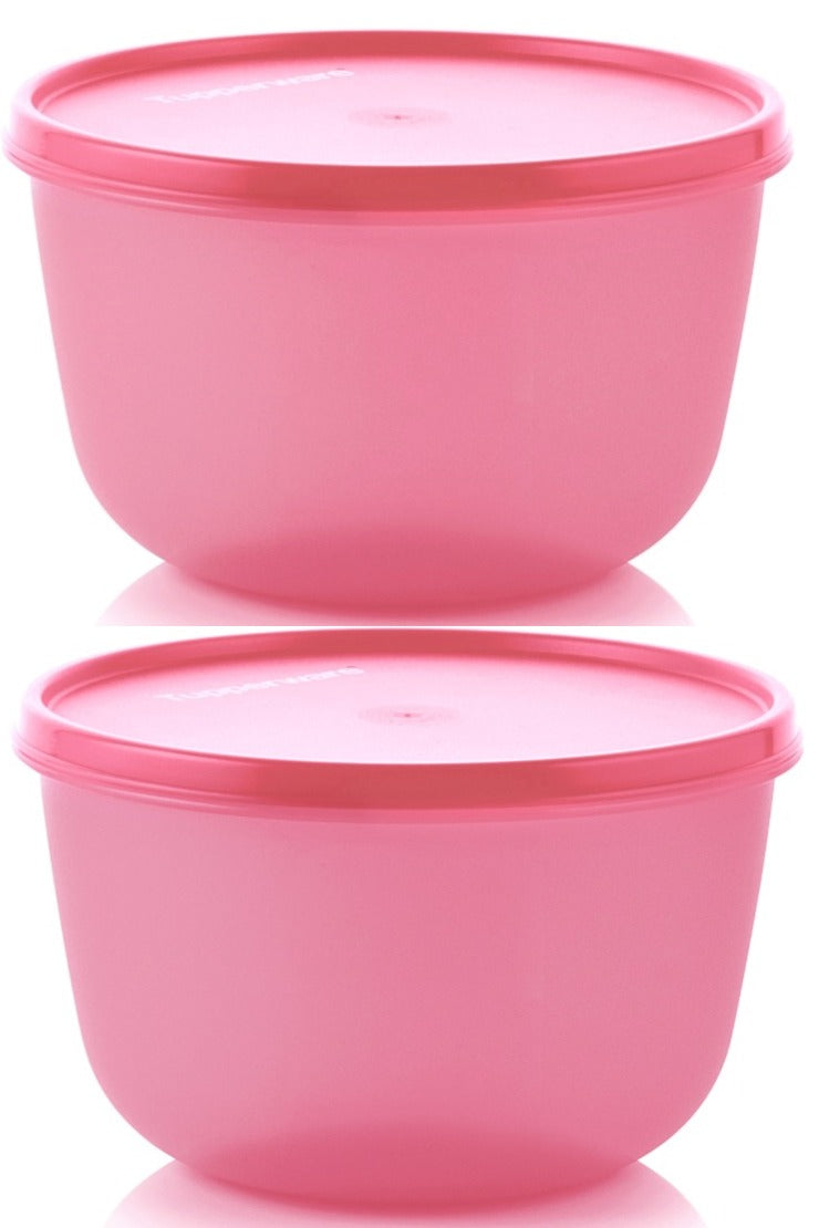 Tupperware SS Bowl @ 25% Discount