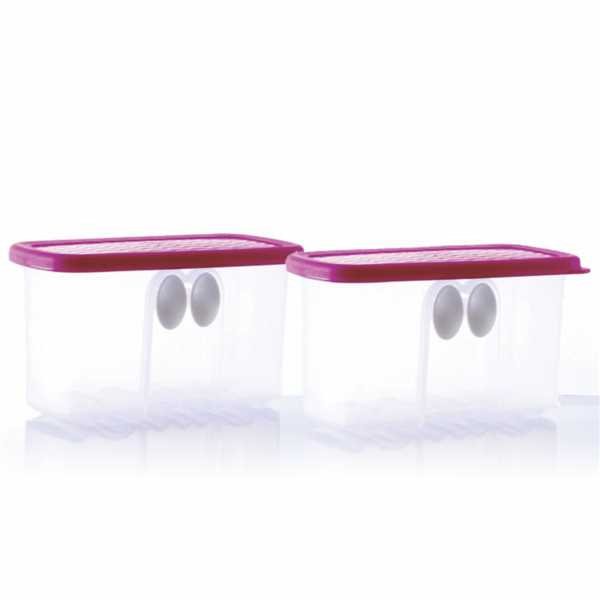 Tupperware Fridgesmart Mini Container Set Of 2 @ 25% Discount