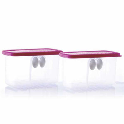 Tupperware Fridgesmart Mini Container Set Of 2 @ 25% Discount