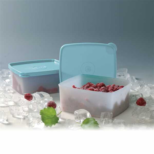 Tupperware Cool N Fresh Container