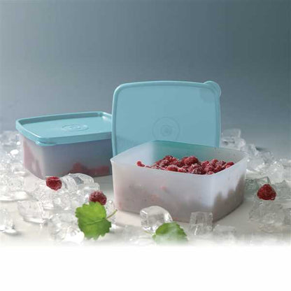 Tupperware Cool N Fresh Container