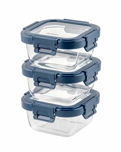 Dubblin Borosilicated Glass Lunch Box Set Of 3 With Vertical Bag