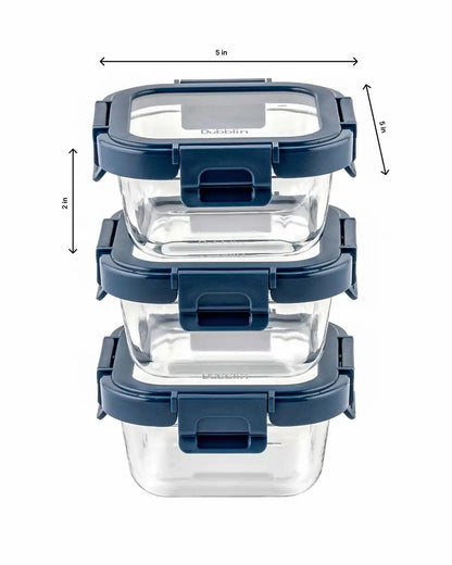 Dubblin Borosilicated Glass Lunch Box Set Of 3 With Vertical Bag