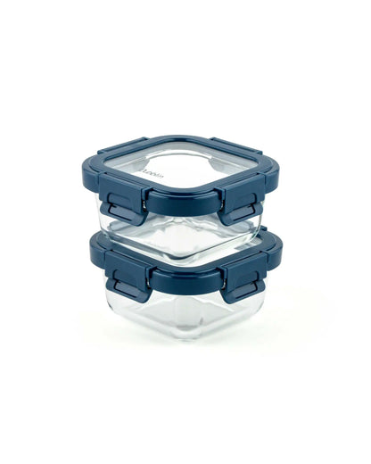 Dubblin Glass Lunch Box Set Of 2 with Horizontal Bag