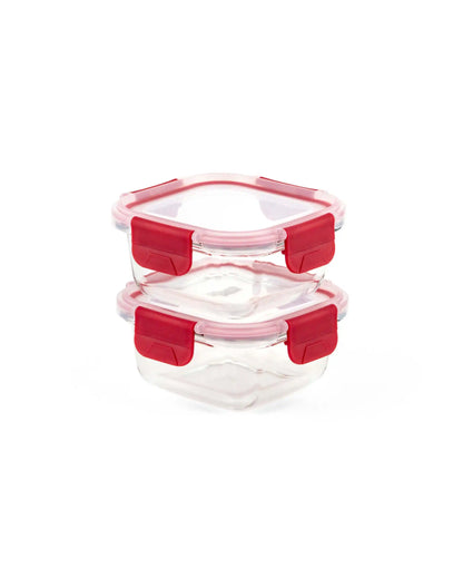 Dubblin Borosilicate Glass Lunch Box Set Of 2 With Vertical Bag