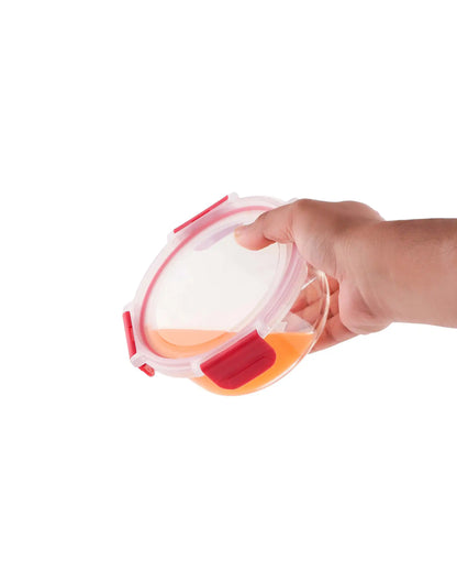 Dubblin Borosilicate Glass Lunch Box Set Of 2 With Vertical Bag