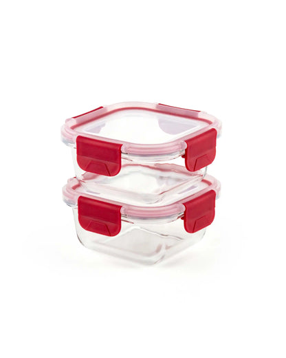 Dubblin Glass Lunch Box Set Of 2 with Horizontal Bag