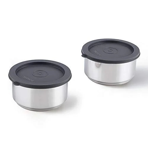 Borosil Carry Fresh Double Wall Stainless Steel Lunch Set WIth Horizontal Bag