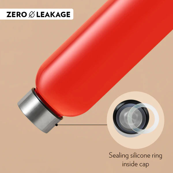 Borosil 550ml Borosilicate Glass Bottle