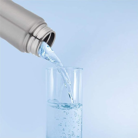 Dubblin Ice Cube 750ml Stainless Steel Bottle