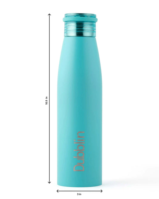 Dubblin Stunning 800ml Stainless Steel Bottle