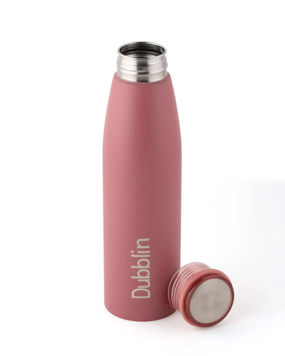 Dubblin Stunning 800ml Stainless Steel Bottle