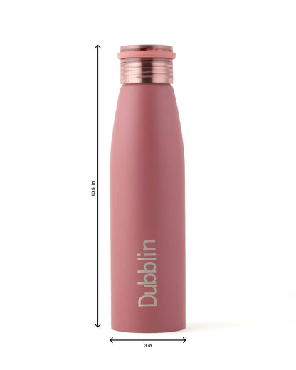 Dubblin Stunning 800ml Stainless Steel Bottle