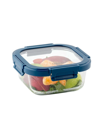 Dubblin Borosilicate Glass Container Square with Glass Lid