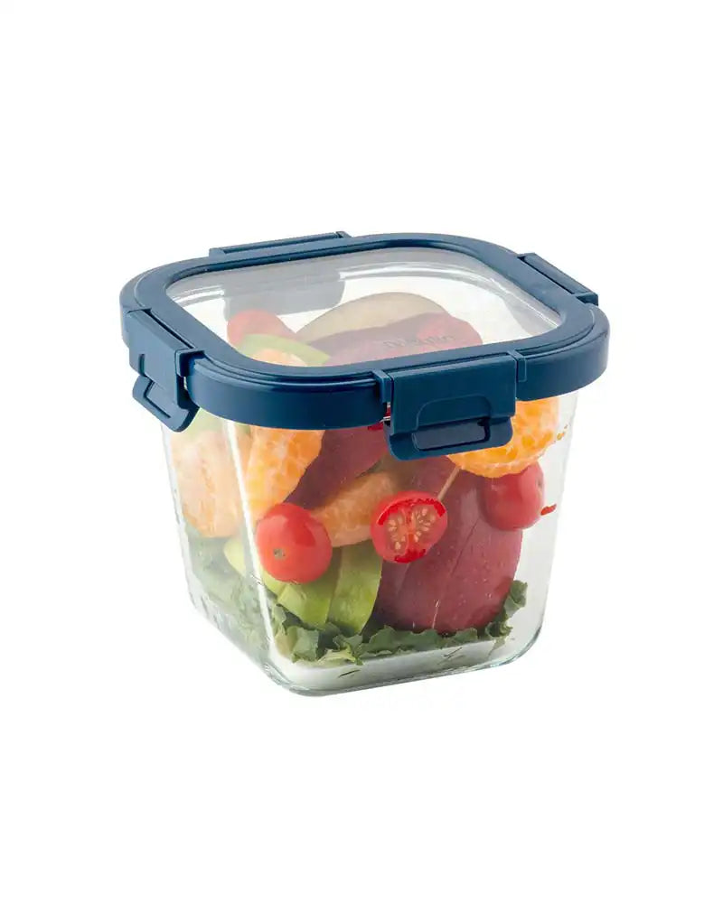 Dubblin Borosilicate Glass Container Square with Glass Lid