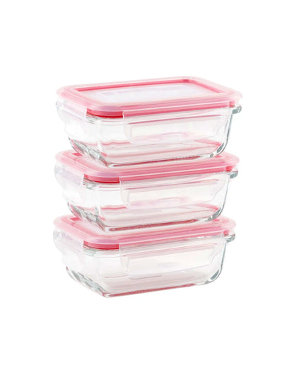 Dubblin Borosilicate Glass Containers Set of 3