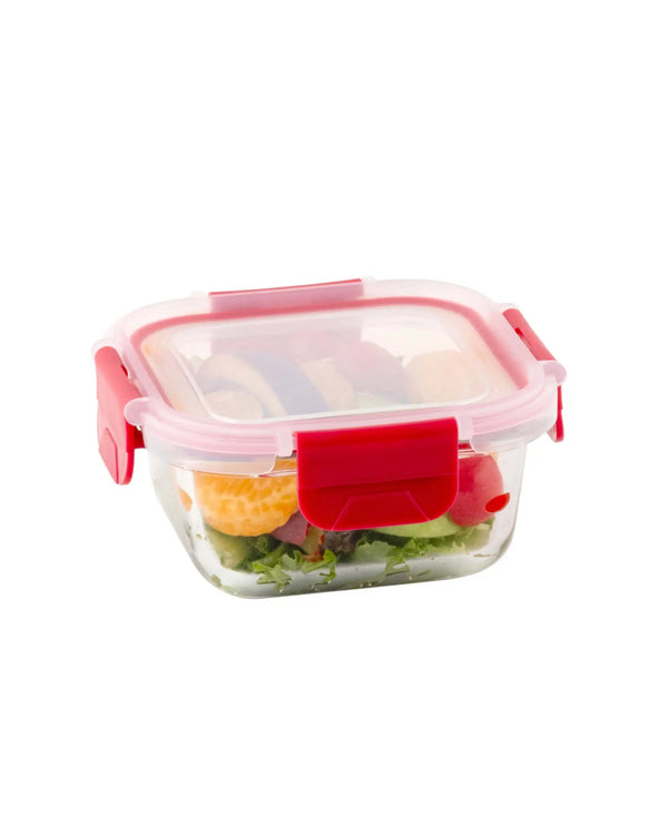 Dubblin Borosilicate Glass Container Square