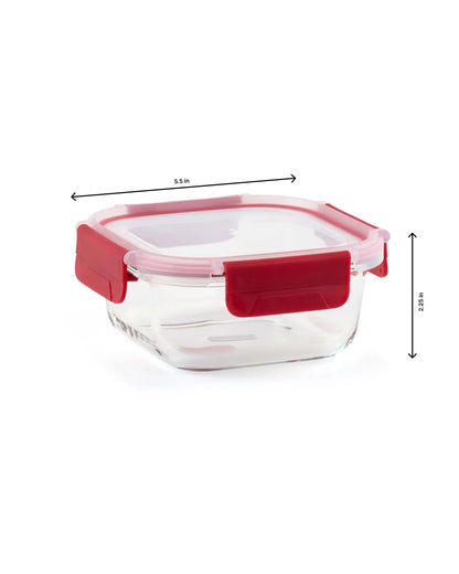 Dubblin Borosilicate Glass Container Square