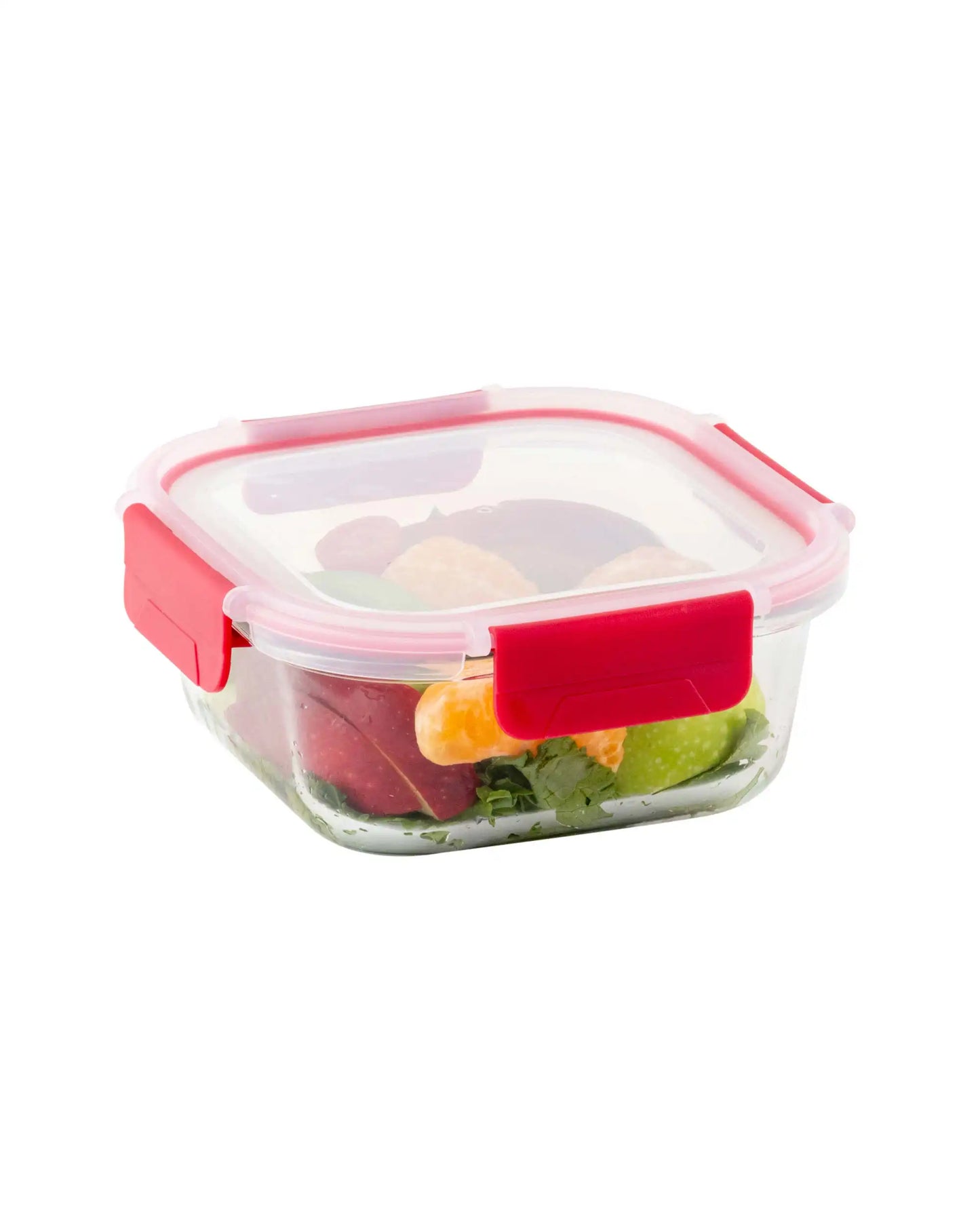 Dubblin Borosilicate Glass Container Square