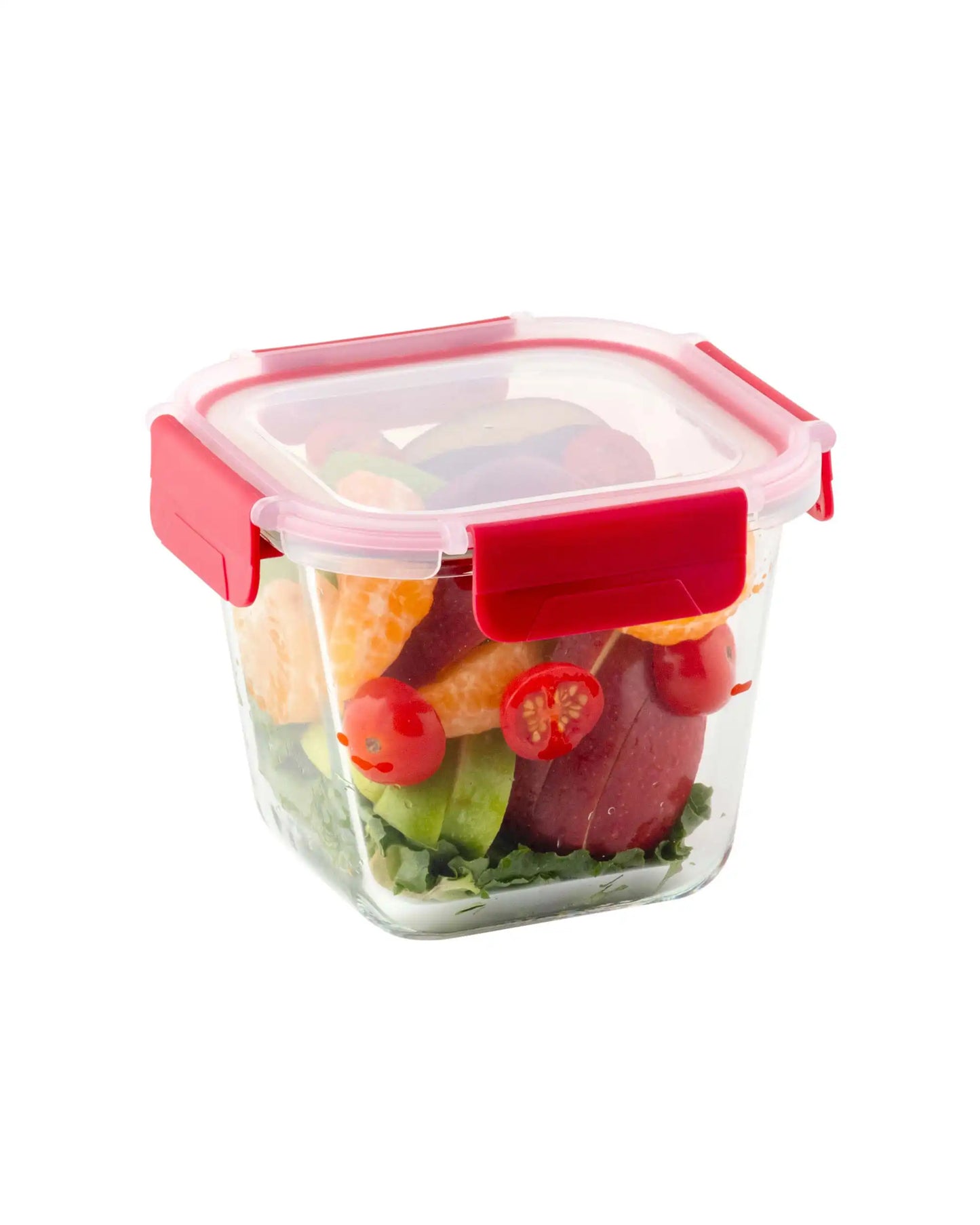 Dubblin Borosilicate Glass Container Square