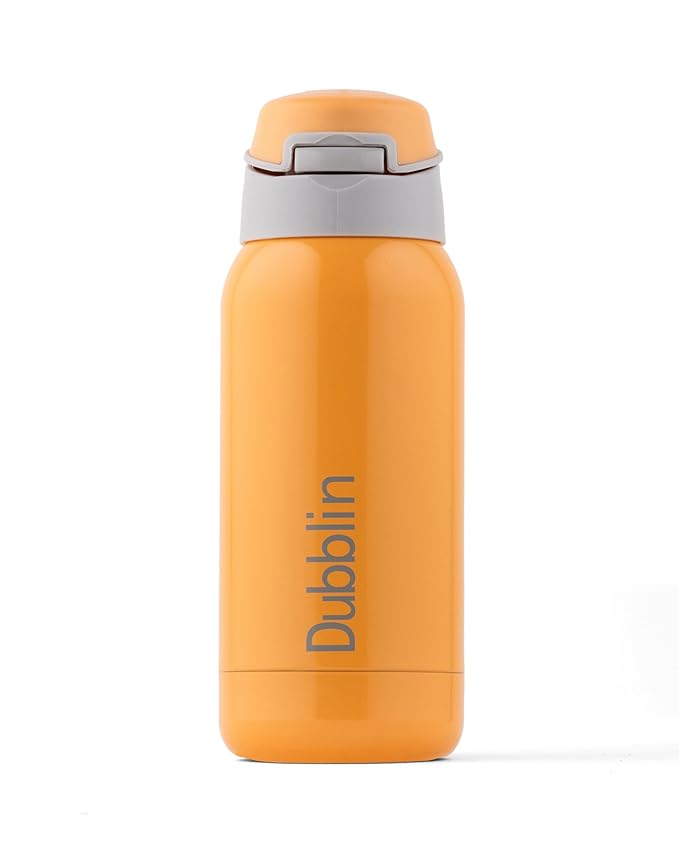 Dubblin Robot 300ml Thermal Vacuum Insulated Bottle with Straw