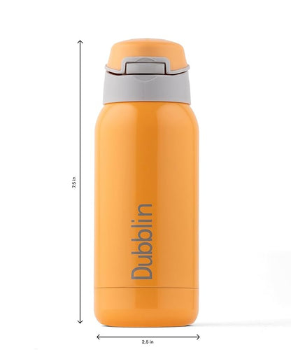 Dubblin Robot 300ml Thermal Vacuum Insulated Bottle with Straw