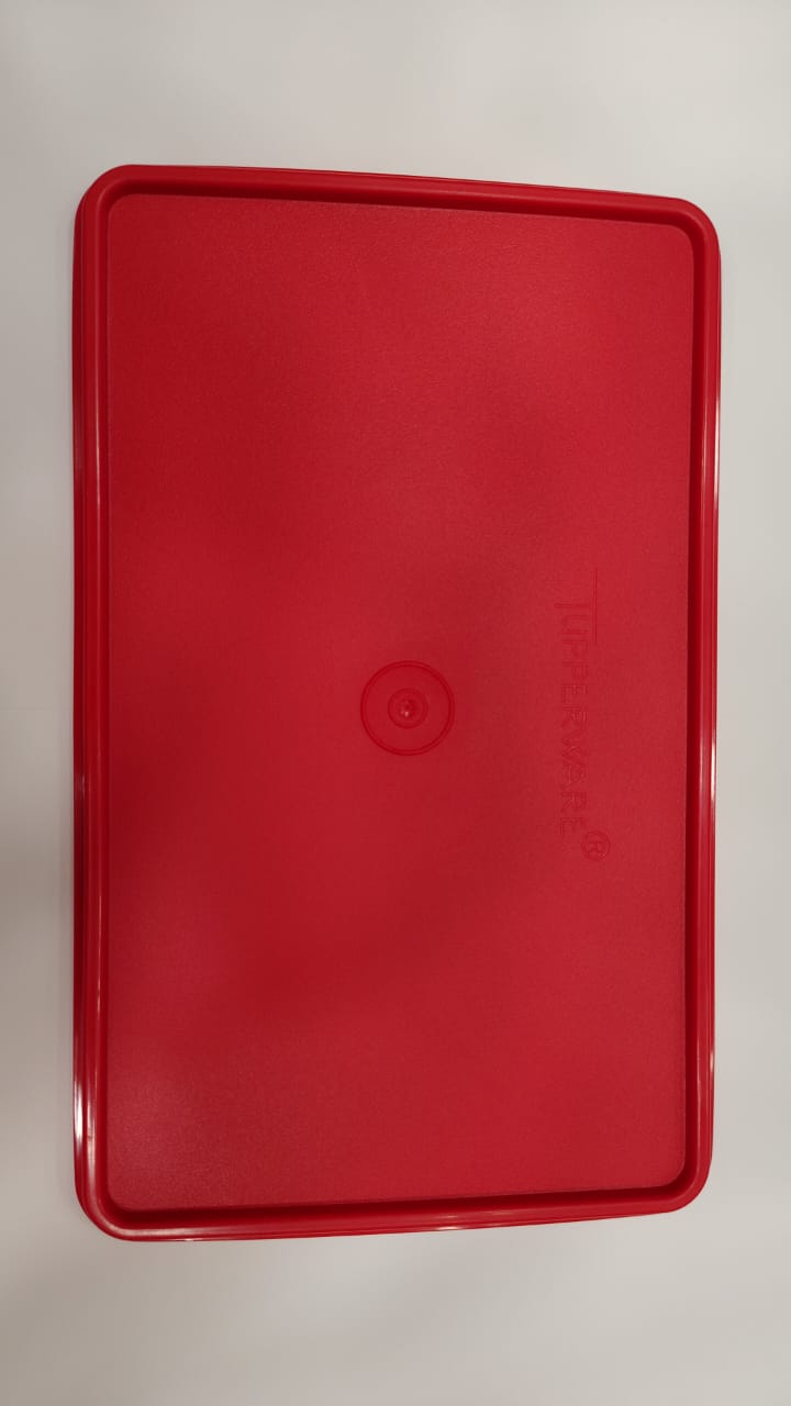 Tupperware Rice Keeper Seal