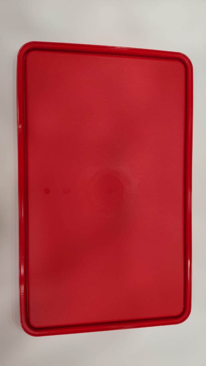 Tupperware Rice Keeper Seal