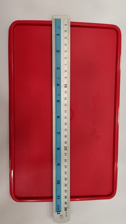 Tupperware Rice Keeper Seal