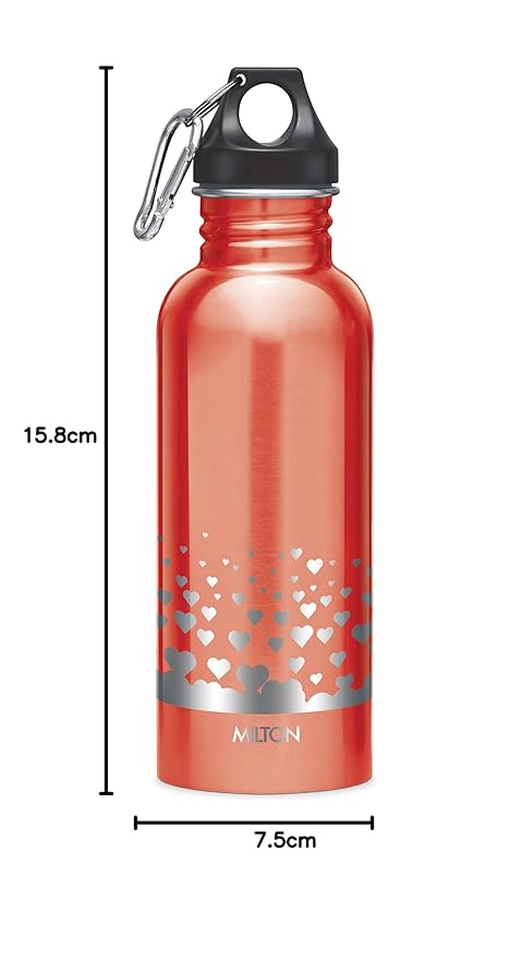 Milton Alive Stainless Steel Bottle 750ml