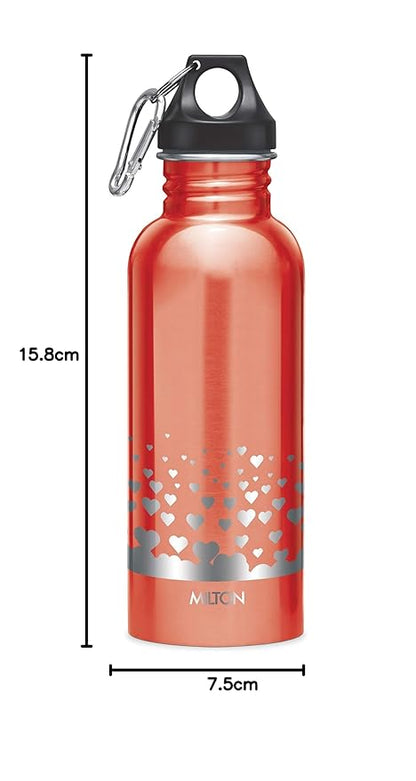 Milton Alive Stainless Steel Bottle 750ml