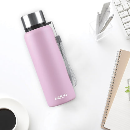 Milton Brim Stainless Steel Bottle 750