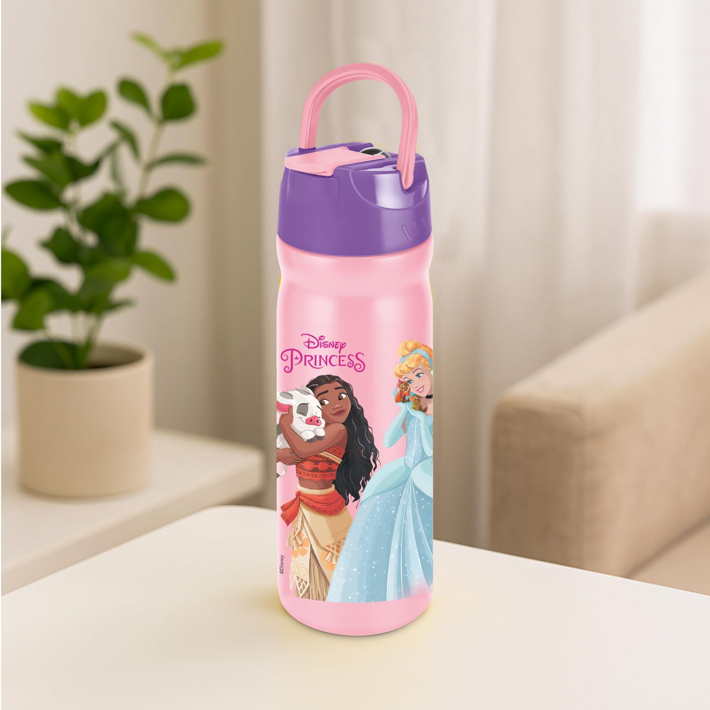 Milton Disney Max 600 Stainless Steel Bottle with Straw Sipper