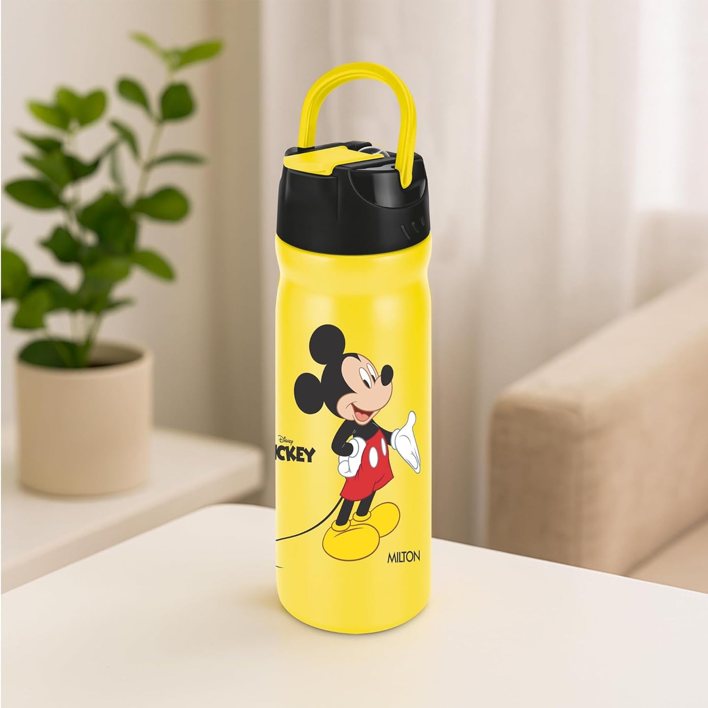 Milton Disney Max 600 Stainless Steel Bottle with Straw Sipper
