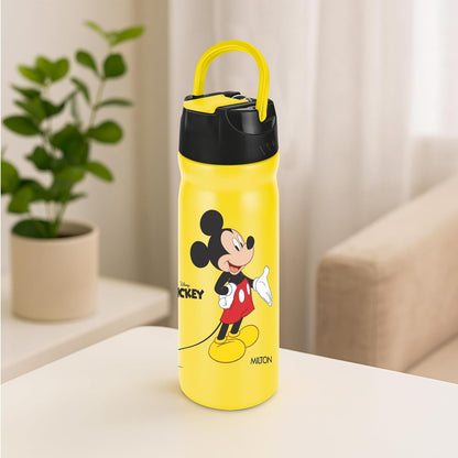 Milton Disney Max 600 Stainless Steel Bottle with Straw Sipper
