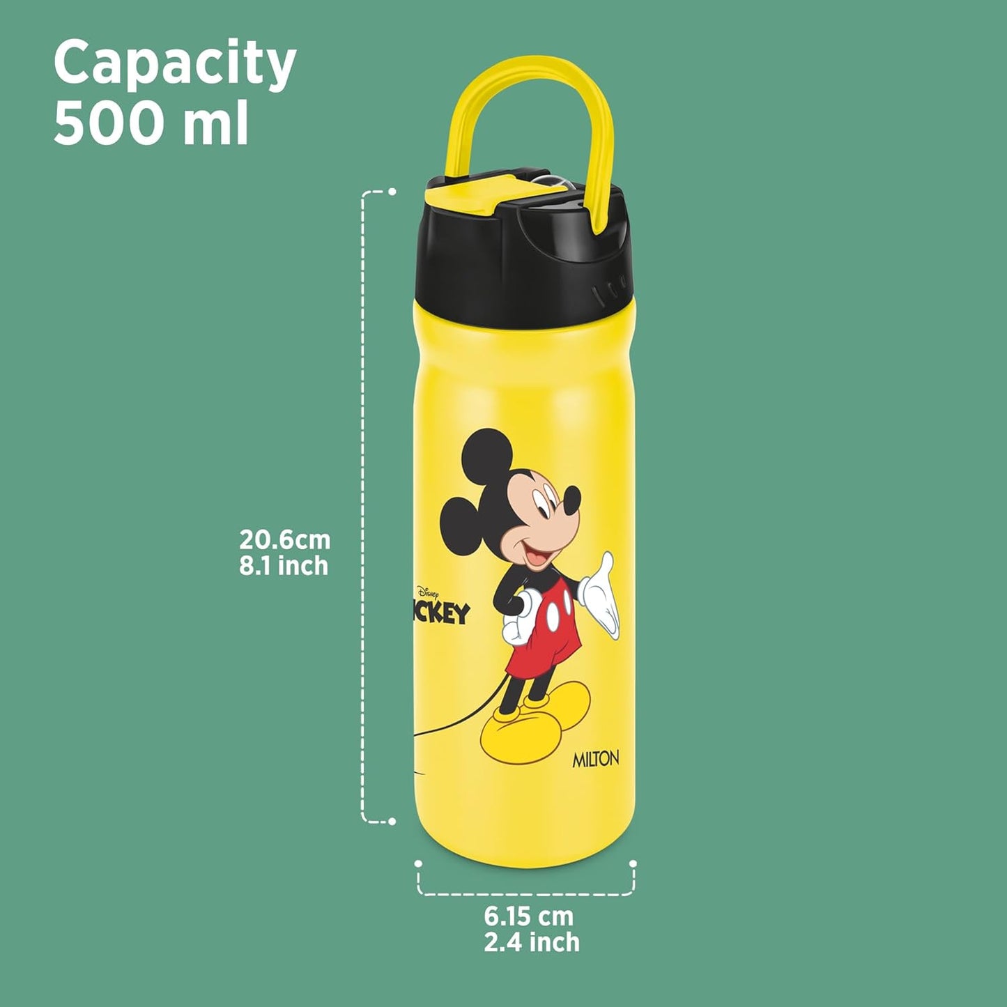 Milton Disney Max 600 Stainless Steel Bottle with Straw Sipper