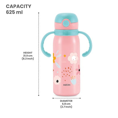 Milton Fountain Kids Stainless Steel Bottles with Straw 650