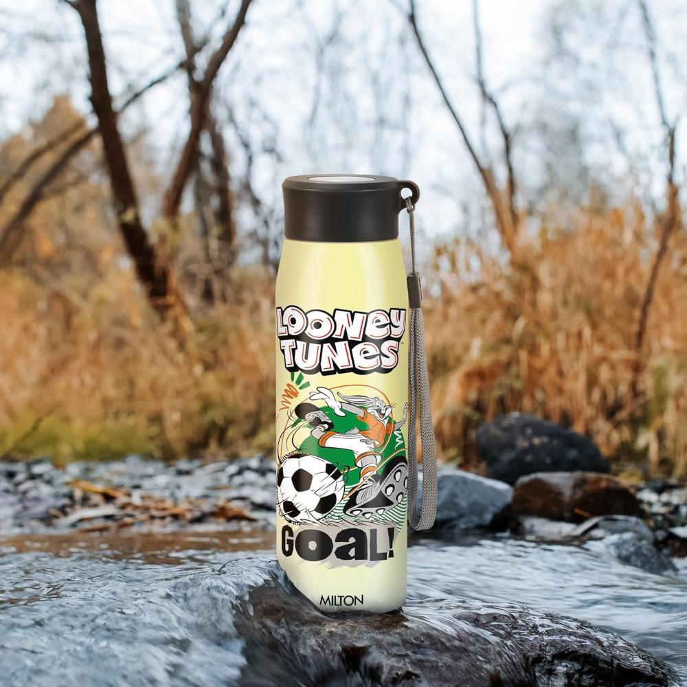 Milton Handy Design Stainless Steel Bottle 650