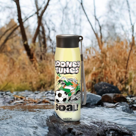 Milton Handy Design Stainless Steel Bottle 650