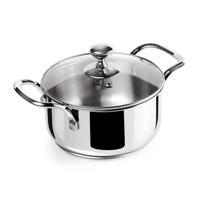 Milton Procook Stainless Steel Casserole with Glass Lid
