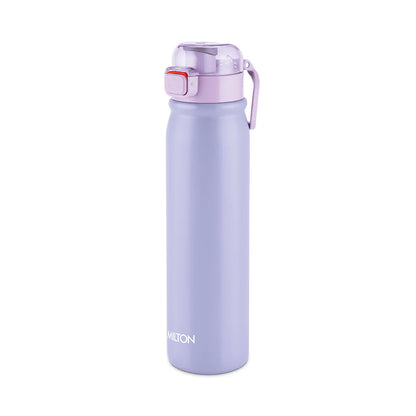Milton Reva 1000 Stainless Steel Bottle (Twin Flow: Gulper Plus Straw Sipper)