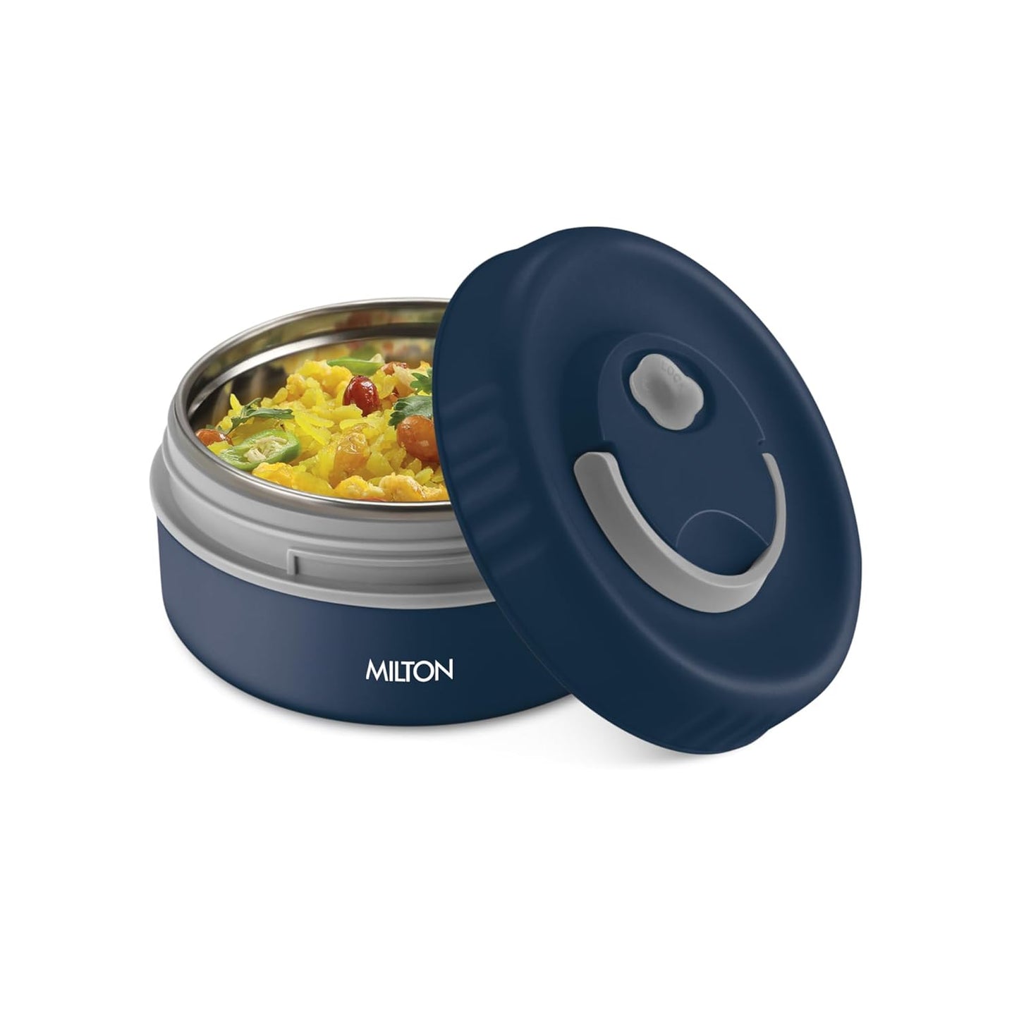 Milton Snack Box Small Container Inside Stainless Steel Outside Plastic