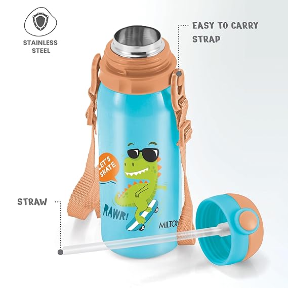Milton Torque Stainless Steel Kids Straw Bottle 450