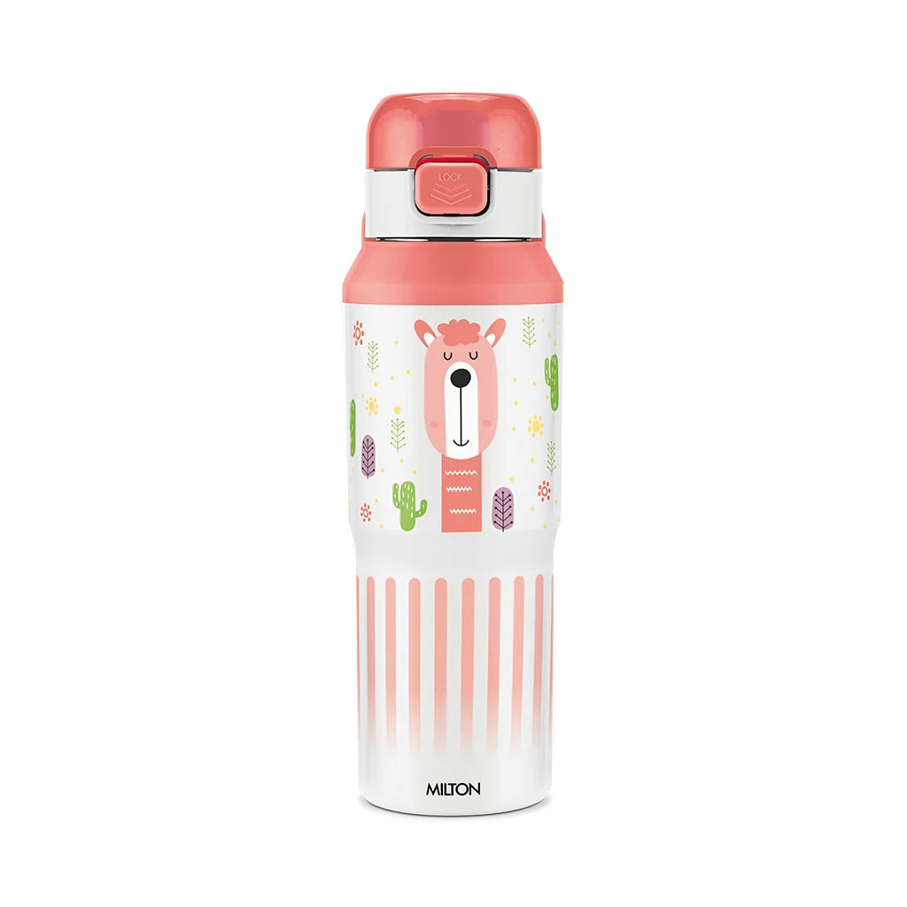 Milton Steel Helio 600 Stainless Steel Bottle - Outside Plastic Inside Stainless Steel (Twin Flow: Gulper Plus Straw Sipper)