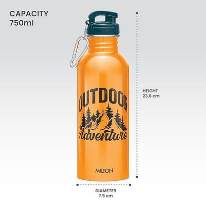 Milton Virtue Stainless Steel Bottle 750