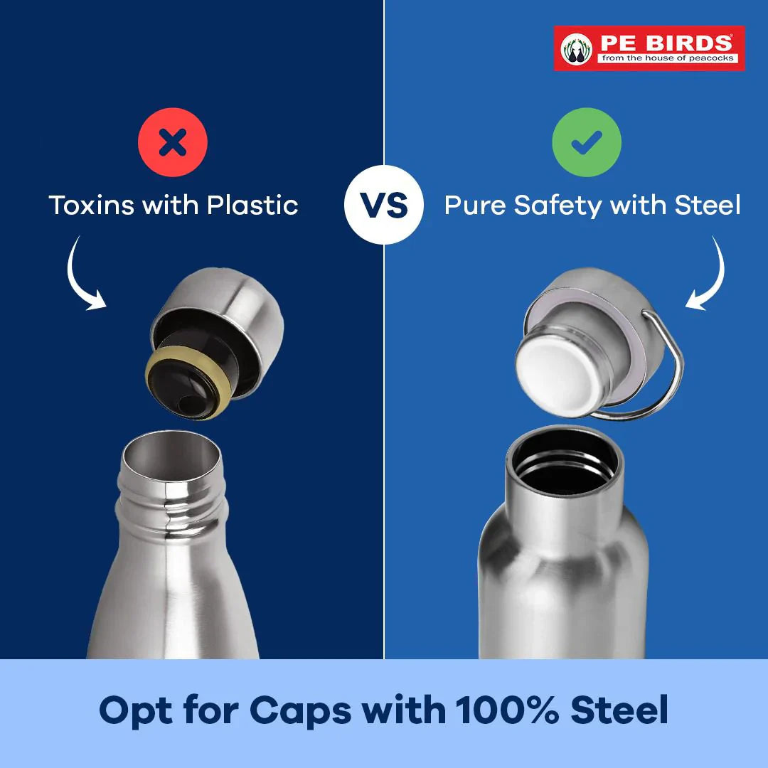 PE Birds Hydra 600ml Thermal Vacuum Insulated Flask with Steel Cap Bottle